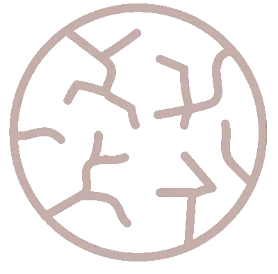Les peaux déshydratées