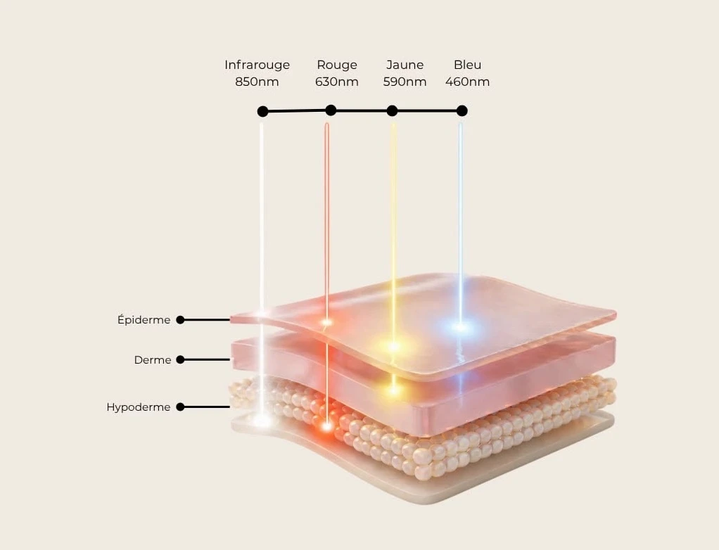 Schéma épiderme et lumière LED